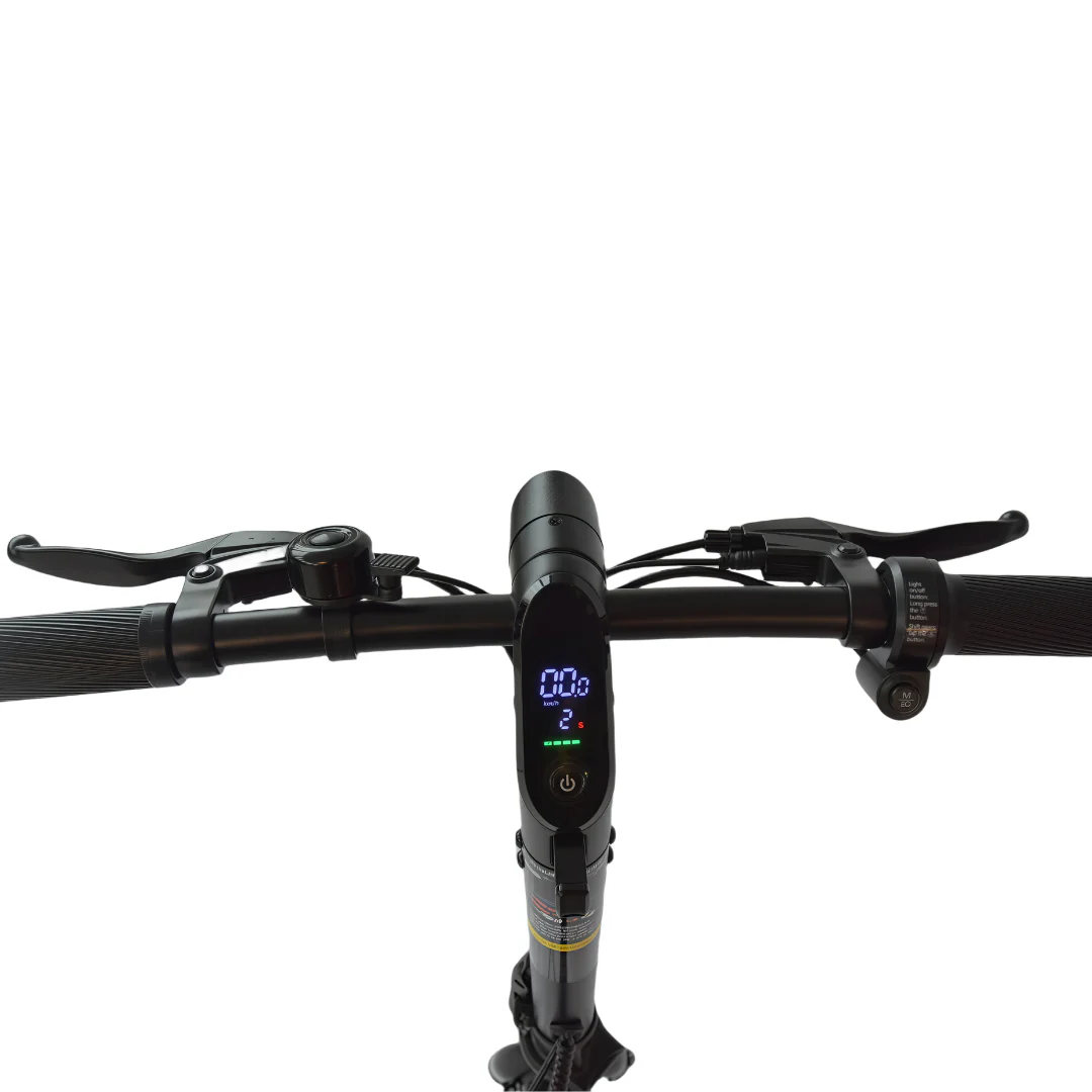 BX E-bike - Image 4