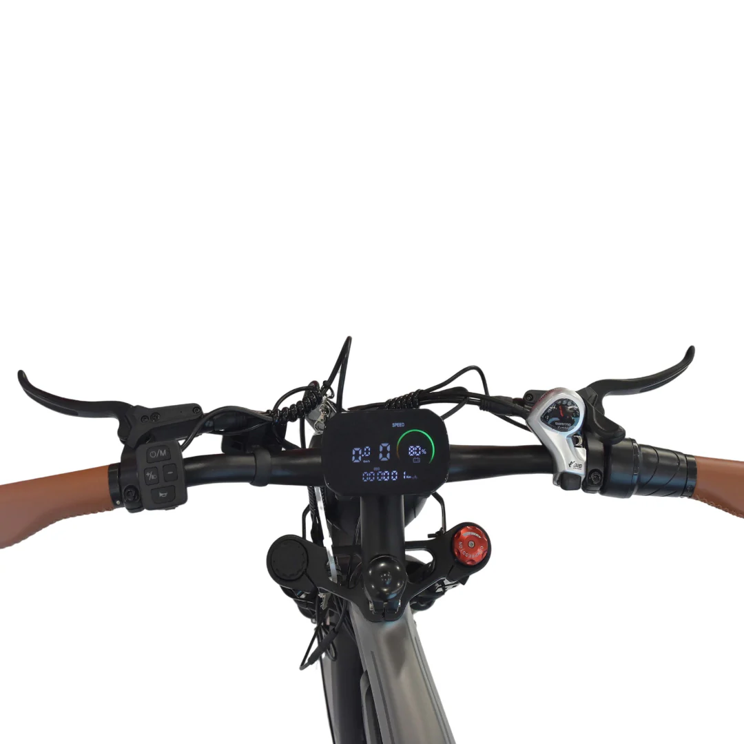 M20 E-bike - Image 3
