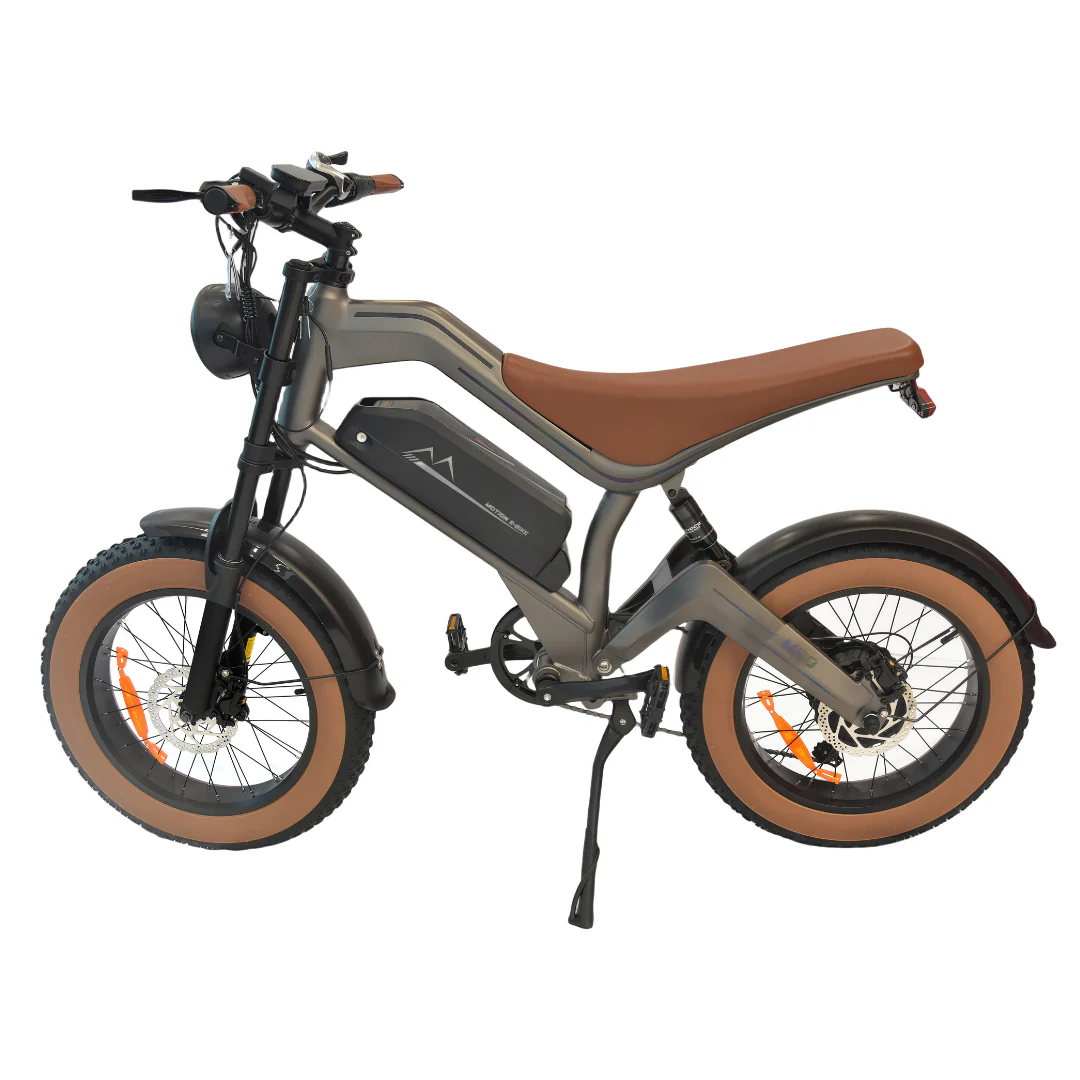 M20 E-bike - Image 4