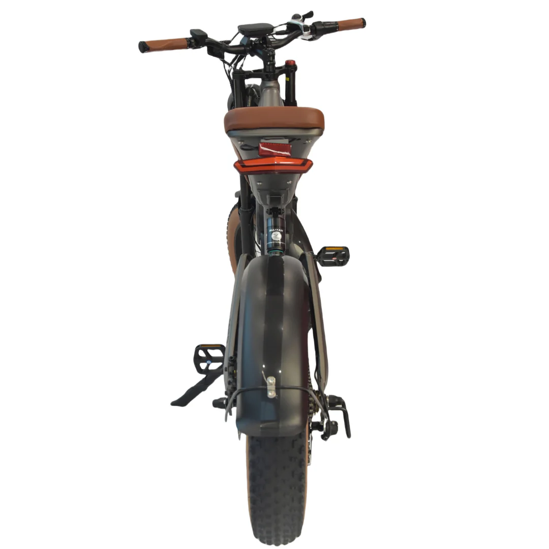 M20 E-bike - Image 6