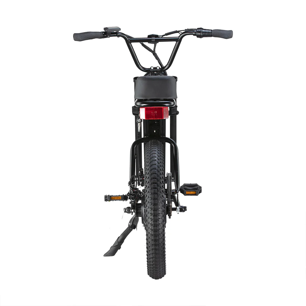 Z.X E-bike - Image 3